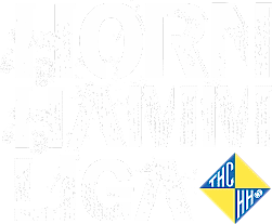 horn hamm liga